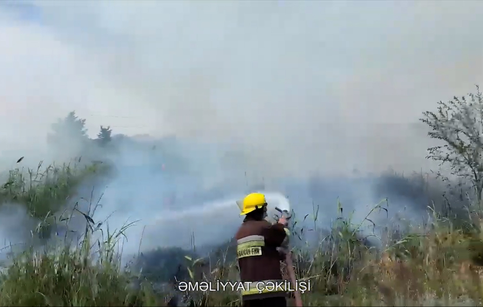 Zabrat qəsəbəsi ərazisində 600 kvadratmetr sahədə qamışlıq və quru ot yanıb