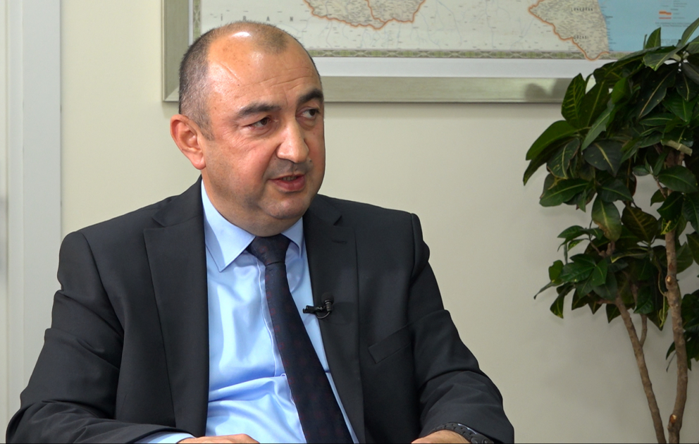 Nazir müavini: “Yaşıl dünya naminə həmrəylik ili”ndə 5 milyon ağacın əkilməsinə nail olacağıq