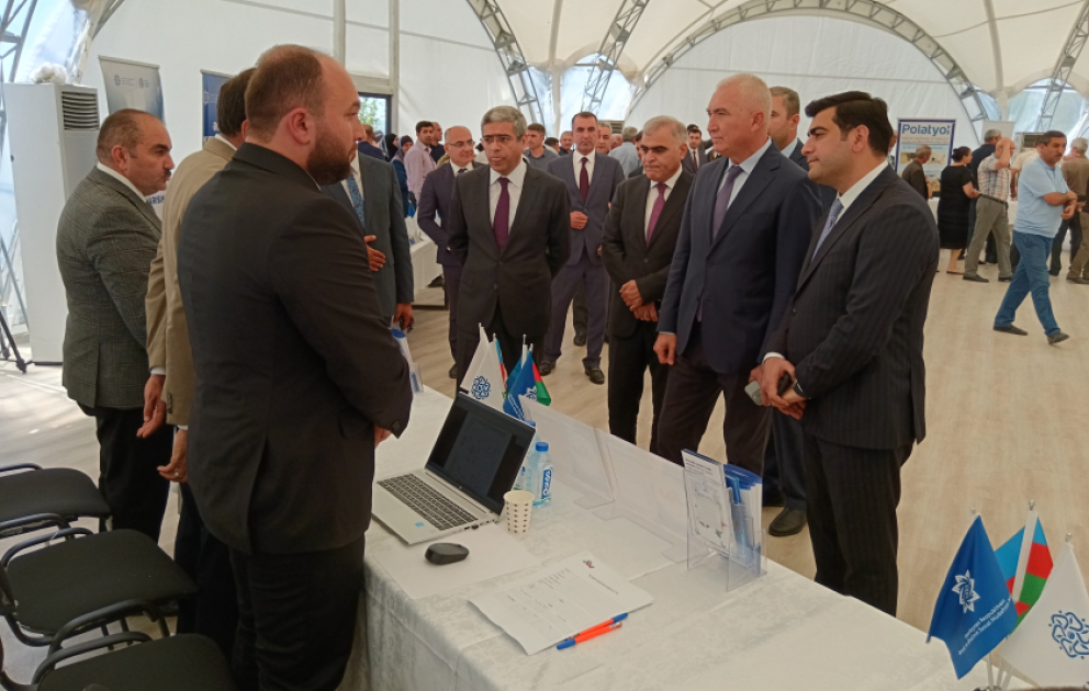 Laçında işaxtaranlara 335 vakansiya təklif olunub