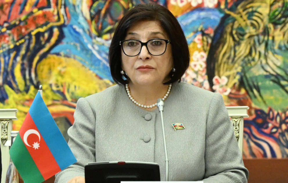 Milli Məclisin sədri: Azərbaycan TÜRKPA-nın fəaliyyətə olan sədri kimi var gücü ilə çalışacaq