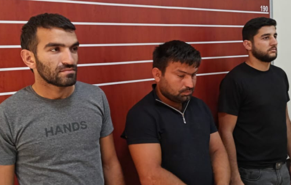 Hacıqabulda altı fermadan oğurluq edən dəstə saxlanılıb