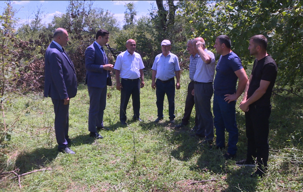 Qaxda baş verən təbii fəlakətlər aqrar sığortanın əhəmiyyətini bir daha göstərdi