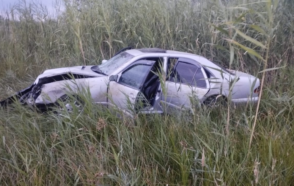 Kürdəmirdə minik avtomobili qoyun sürüsünü vurub, 15 heyvan tələf olub