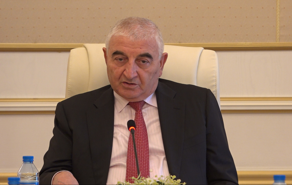 MSK sədri: Naxçıvanda seçki məntəqələrində bir sıra problemlər var