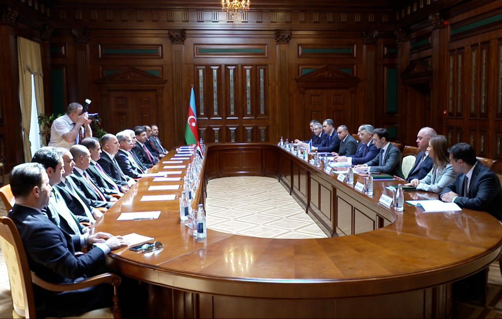 Ali Məhkəmədə İraq Respublikasının nümayəndə heyəti ilə görüş keçirilib