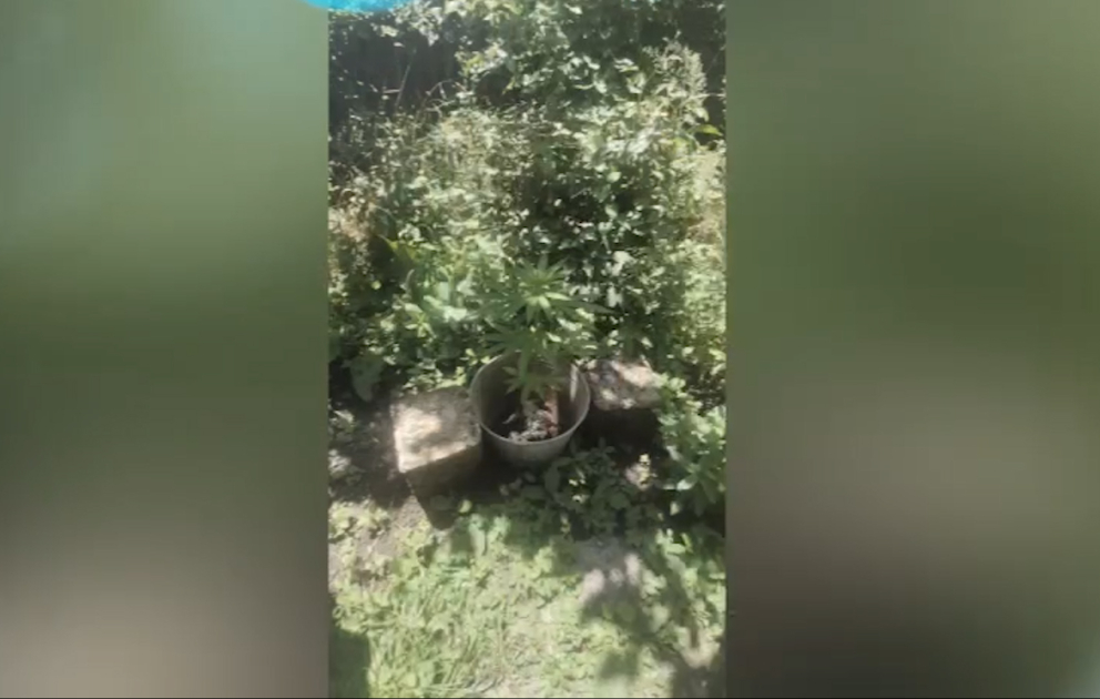 Qəbələdə narkotikə görə saxlanılan şəxsin oğurluq əməlinin üstü açılıb