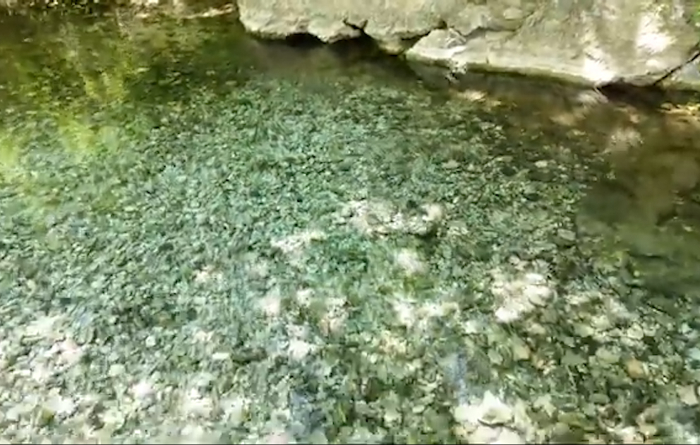 Zəngilanın "Qotursu" bulağı