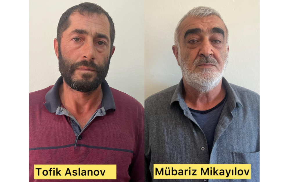 Qusarda çətənə kolu və marixuana aşkarlanıb