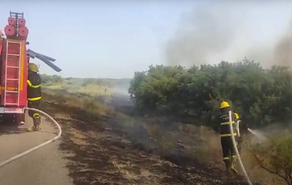 FHN: Goranboyda yol kənarında qamışlıq sahə yanıb