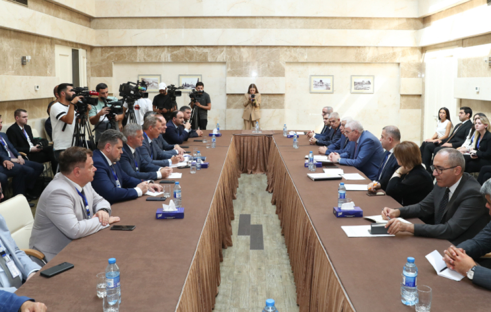 MSK sədri Məzahir Pənahov MDB PA-nın müşahidə missiyası ilə görüşüb