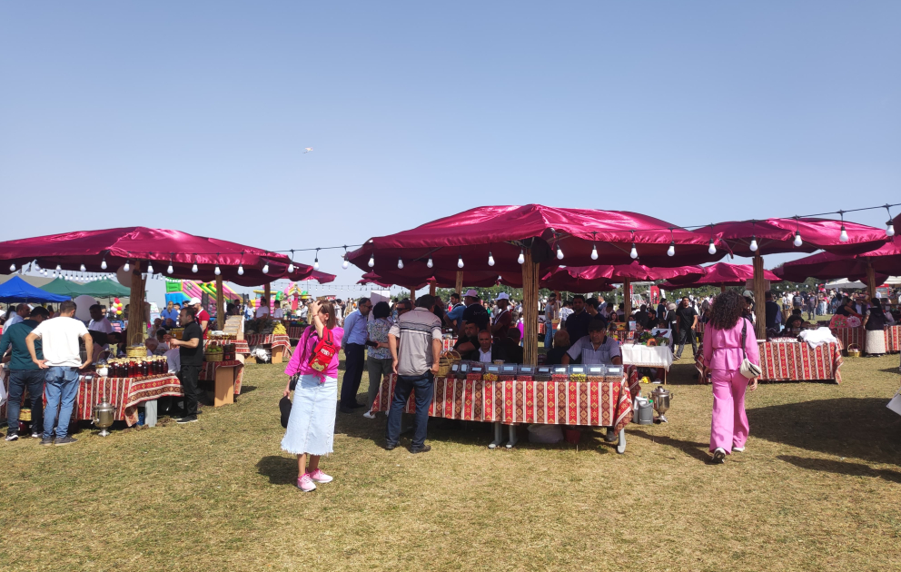 Göygöldə Moruq festivalı keçirilir
