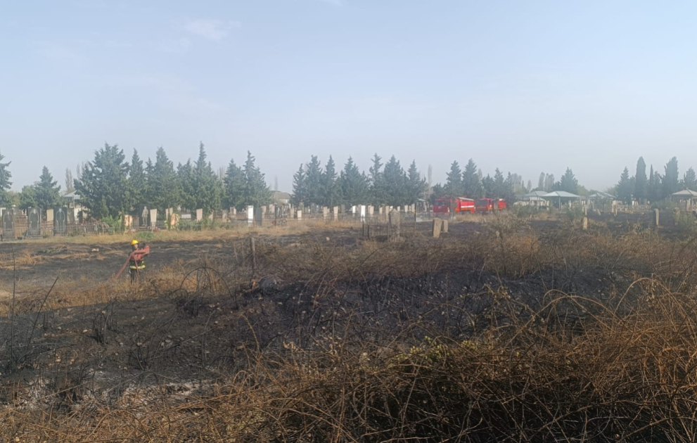 Tovuzda qəbiristanlıq ərazisində yanğın baş verib