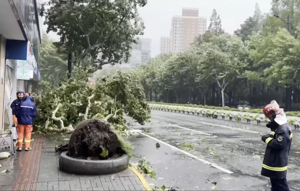 “Bebinka” qasırğası Şanxayda həyatı iflic edib