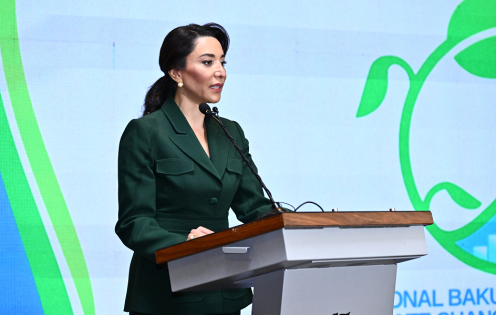 Ombudsmanların Beynəlxalq Bakı Forumu keçirilib