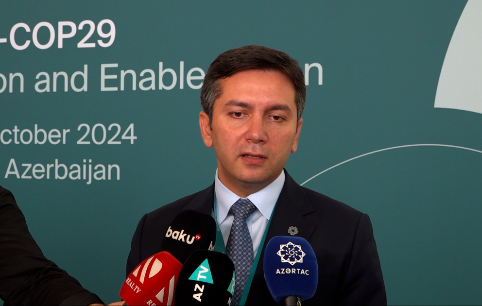 Baş danışıqçı: COP29-da qəbul edilməsi vacib olan təxminən 60 qərar var