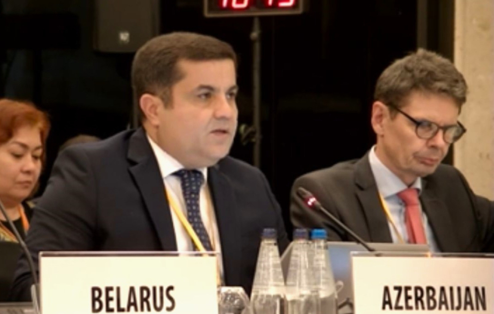 Aydın Səfixanlı: Azərbaycanda qadınlara qarşı zorakılığın aradan qaldırılması istiqamətində kompleks tədbirlər həyata keçirilib