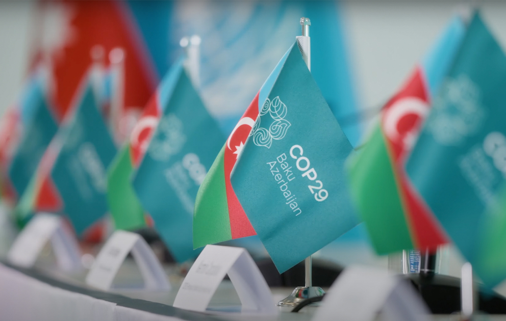 COP29-dan sonra universitetlərdə yeni ixtisaslar yaradıla bilər