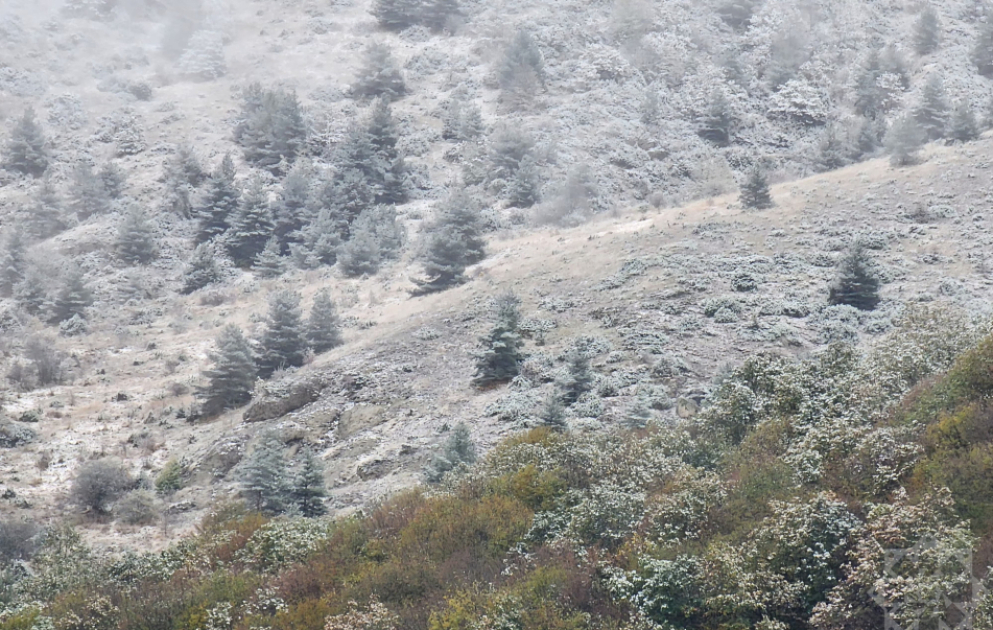 Laçının Mirik və Quşçu kəndlərinə qar yağıb