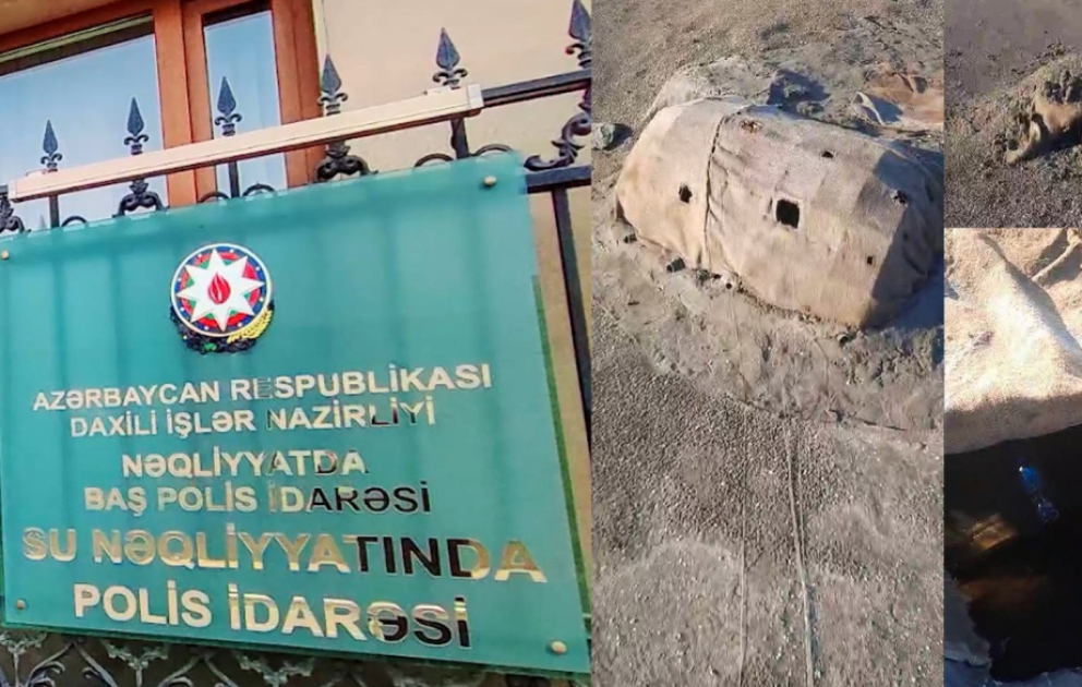 Adı “Qırmızı kitab”a düşən çöl quşunu ovlayan Qəmər Adaları vətəndaşı saxlanılıb