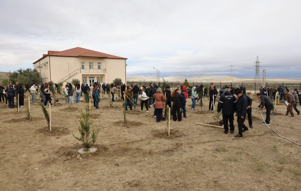 “Yaşıl dünya naminə həmrəylik ili” çərçivəsində ağacəkmə aksiyası keçirilib