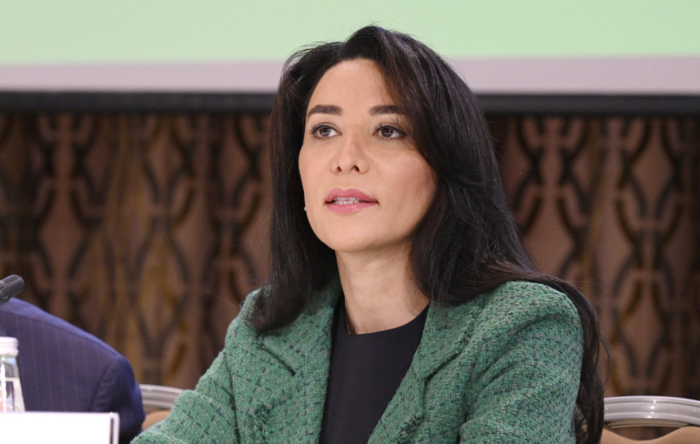Səbinə Əliyeva: Əqli mülkiyyət hüquqlarının qorunması bir sıra fundamental hüquqların təmininə də imkan yaradır