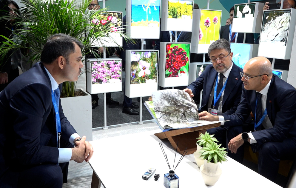 На COP29 состоялась церемония открытия павильона Турции