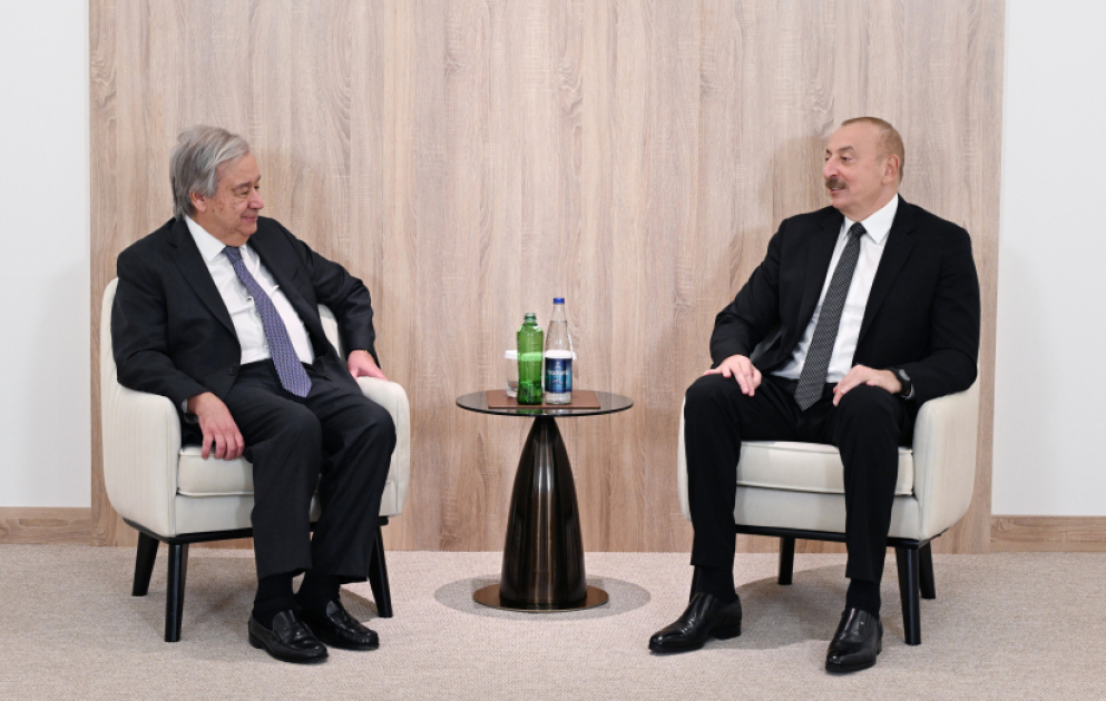 President Ilham Aliyev met with UN Secretary-General