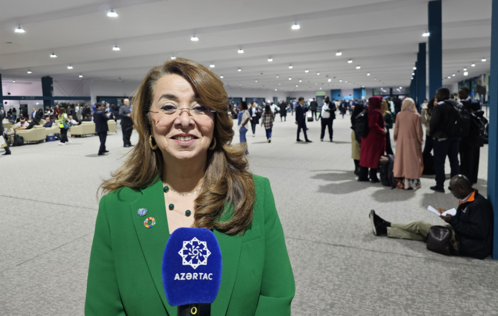 BMT-nin Vyana bölməsinin Baş direktoru: Ətraf mühitə qarşı cinayətlər biomüxtəlifliyə birbaşa təsir göstərir