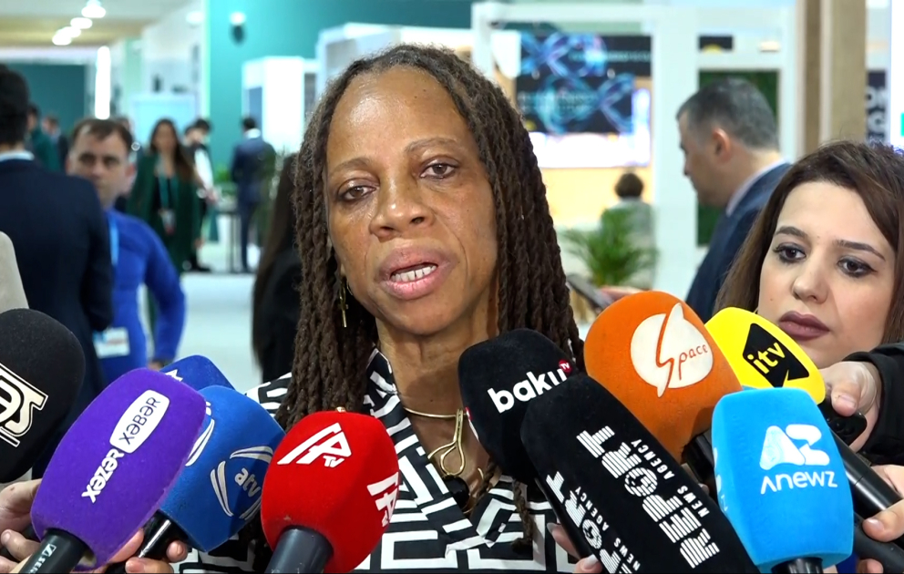 Президент One Saint Martin: COP29 – это возможность выразить нашу позицию по освобождению мира от колониального гнета