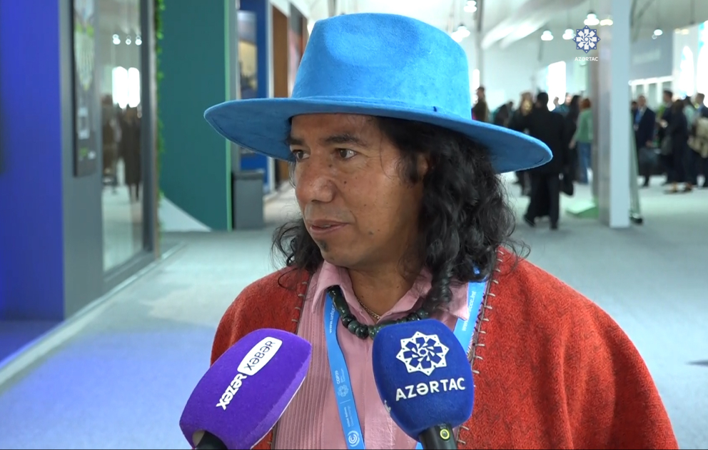 COP29 – очень хорошо организованное мероприятие