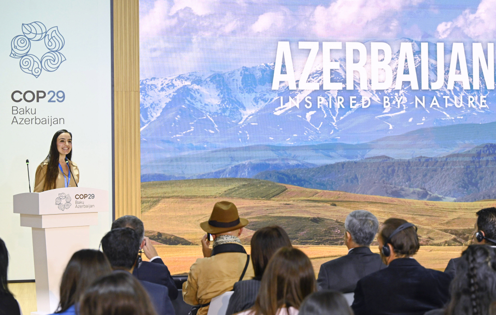 COP29 çərçivəsində Heydər Əliyev Fondunun “Azərbaycan. Təbiətin sehrində” nəşri təqdim edilib