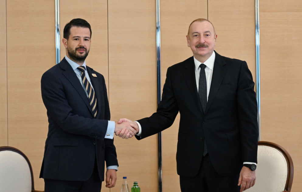 Le président azerbaïdjanais s’entretient avec son homologue monténégrin