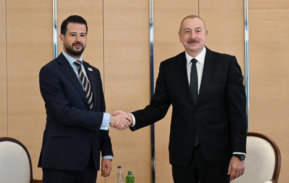 Präsident Ilham Aliyev trifft Präsident von Montenegro