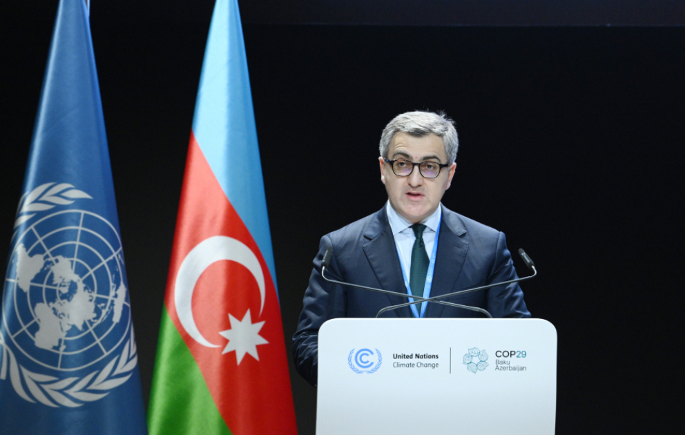 В рамках COP29 запущена Климатическая платформа для бизнеса, инвестиций и благотворительности