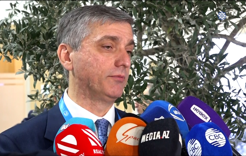 Vüqar Gülməmmədov: İqlim Skanerinin nəticələri dünyanın üçdəbir ölkəsinin iqlim dəyişikliyi ilə bağlı strategiyaya malik olmadığını göstərdi