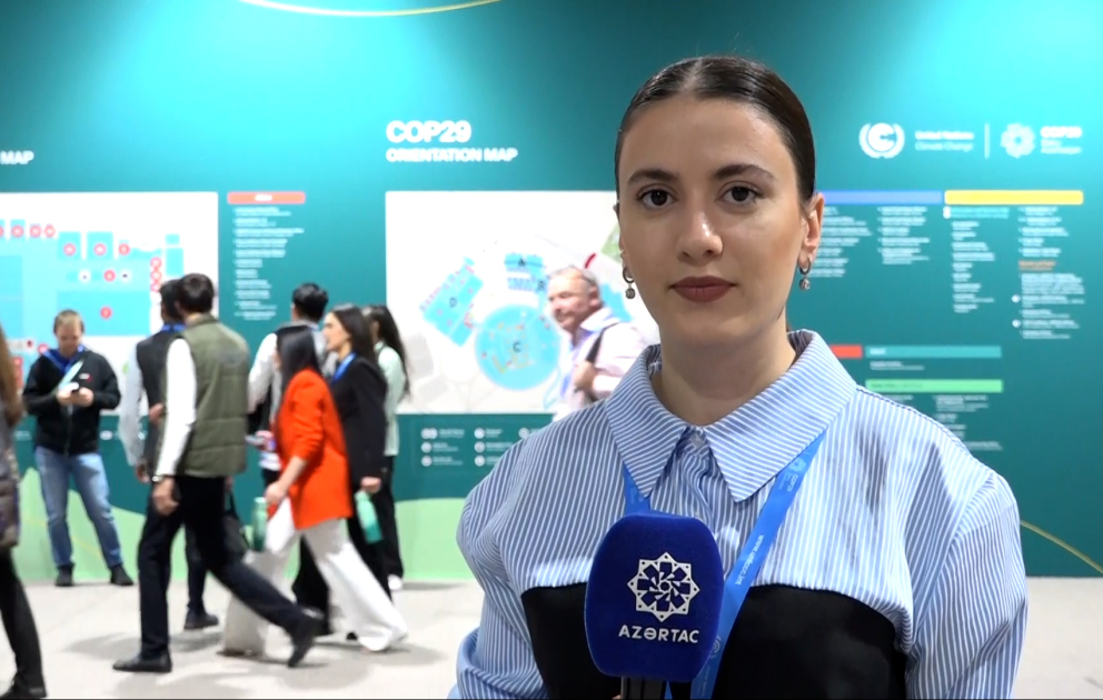 COP29-un könüllüləri