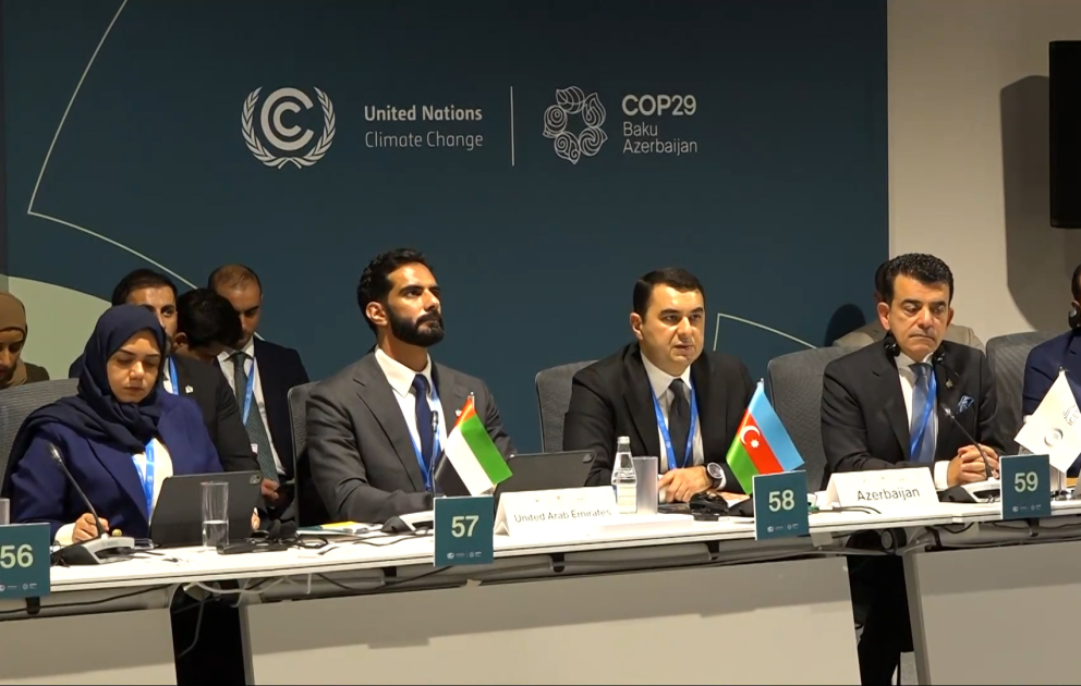 COP29 çərçivəsində Mədəniyyət Nazirlərinin 2-ci Yüksək Səviyyəli Görüşü təşkil edilib