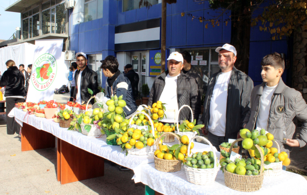 Lənkəranda "Yaşıl Dünya Naminə Ekofestival" keçirilib