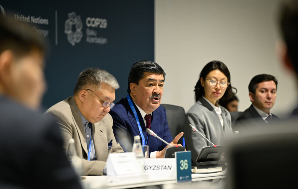 COP29-da dənizə çıxışı olmayan inkişaf etməkdə olan ölkələrin iqlim və inkişaf problemləri müzakirə olunub
