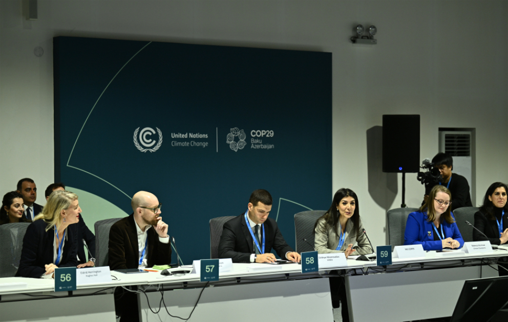COP29 çərçivəsində “İqlim dəyişikliyinə dayanıqlı kiçik orta bizneslər” mövzusu müzakirə edilib
