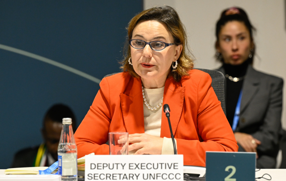 COP29 çərçivəsində 11 ölkə ikiillik şəffaflıq hesabatlarını təqdim edib