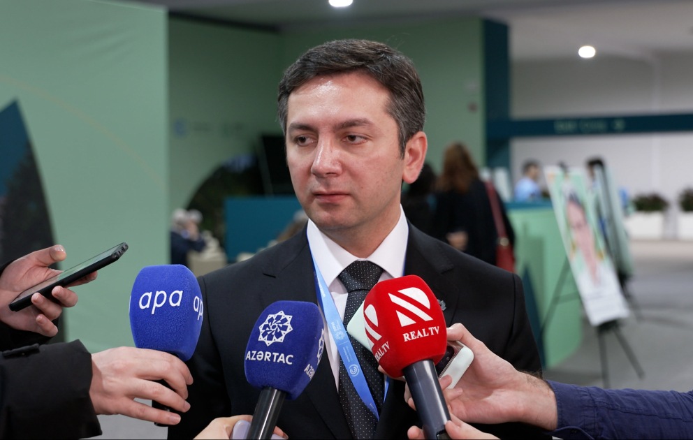 Ялчин Рафиев: Поддержка государствам в подготовке отчетов в области климатической деятельности будет оказана на основе Бакинской платформы прозрачности