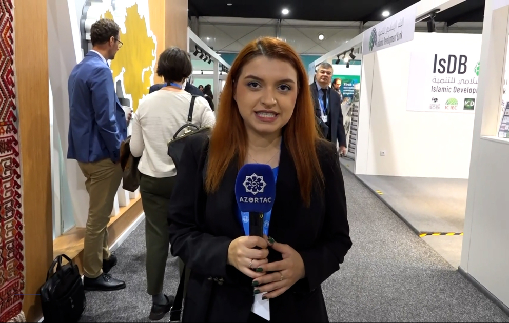 Началась новая неделя работы COP29