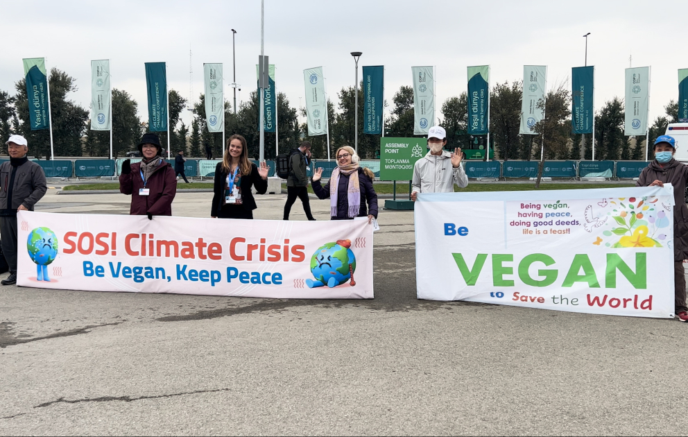 COP29 çərçivəsində veqanlar aksiya keçirib