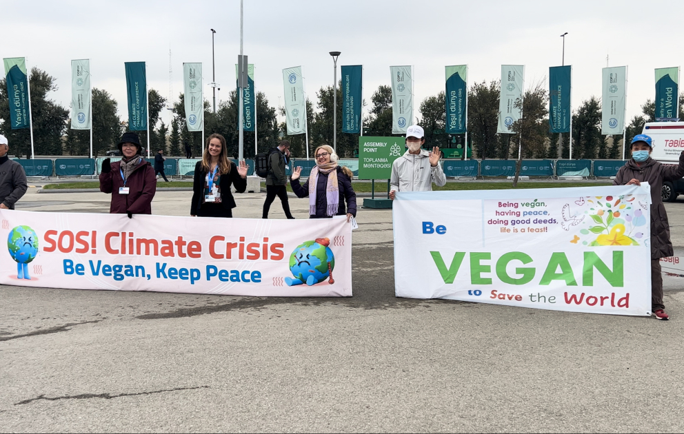 В рамках COP29 веганы провели акцию протеста