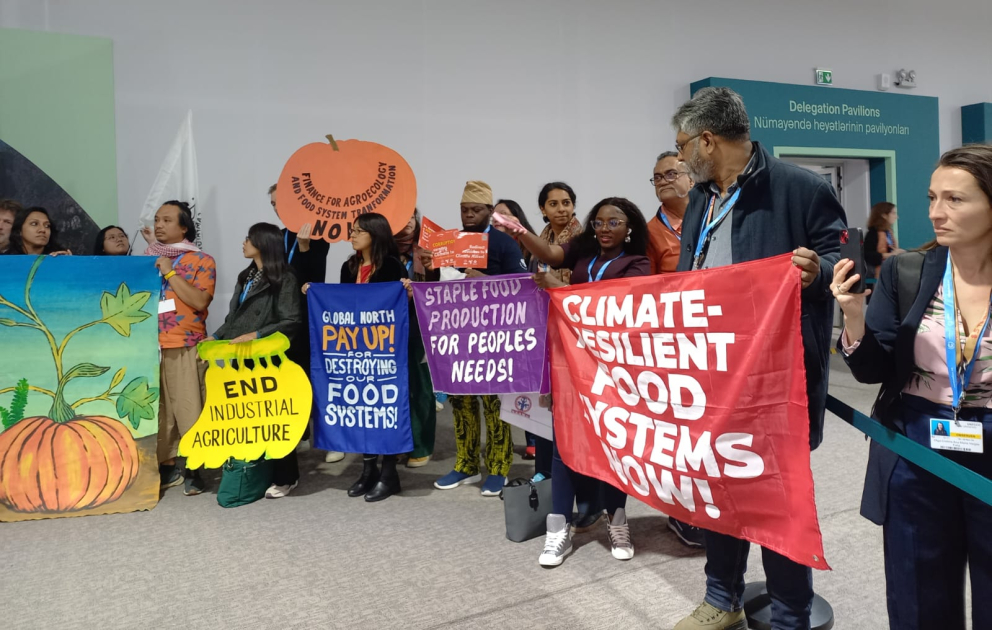 COP 29-da Ərzaq və Kənd Təsərrüfatının İşçi Qrupu aksiya keçirib