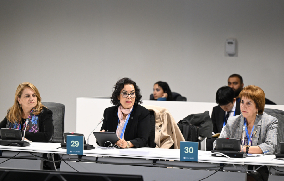 COP29-da aşağı emissiyalı ərzaq sistemlərinə transformasiyada elm və innovasiyanın rolu müzakirə edilib