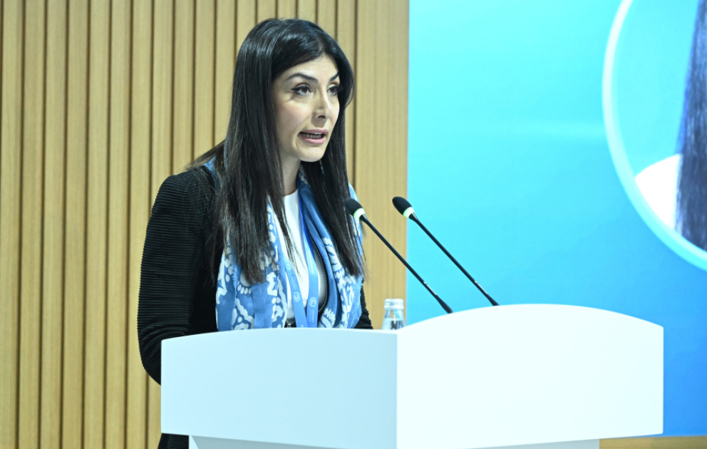 Nigar Arpadarai: Xəzər qapalı dəniz olduğu üçün çox “həssas”dır