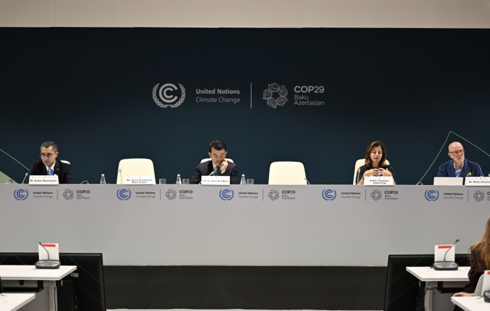 Bakıda “İqlim üçün mədəniyyət: Gənclərin davranış dəyişikliyinin formalaşdırılmasına cəlb edilməsi" adlı panel keçirilib