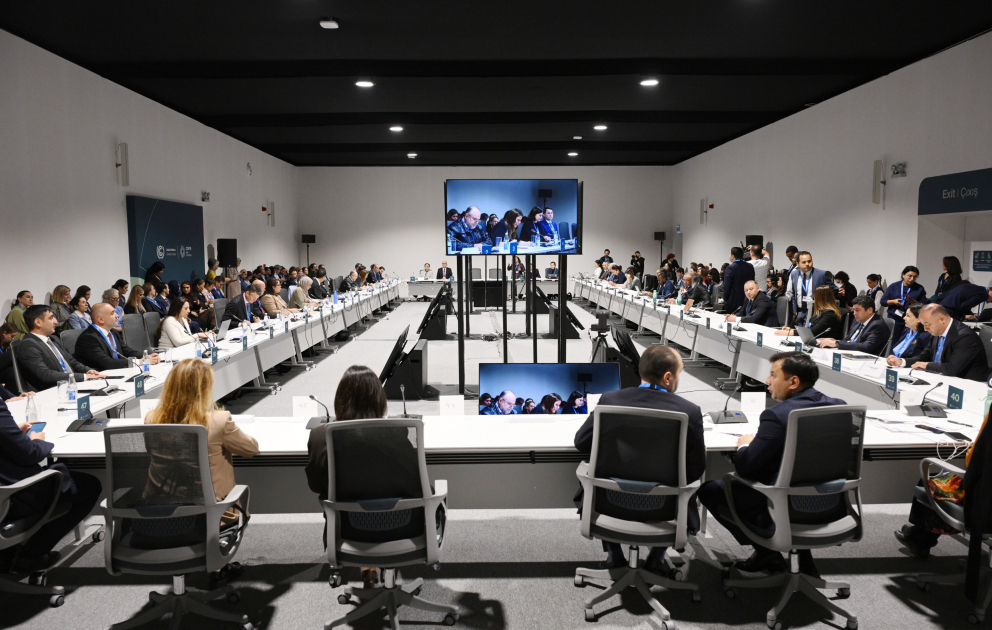 “COP-dan COP-a aqrar-qida irsləri: qlobal iqlim məqsədlərinə nail olmağın açarı” mövzusunda panel müzakirələr keçirilib